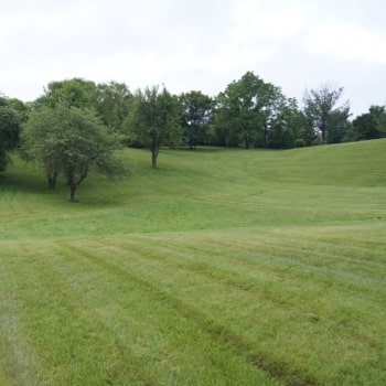 Large field on the Tyndale campus