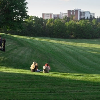 people enjoying outdoor space on the Tyndale campus