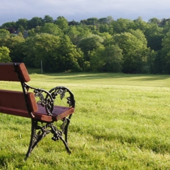 an empty park bench overlooking green space on the Tyndale campus