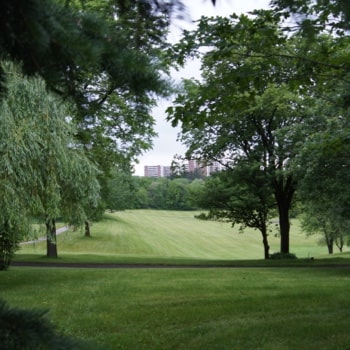 trees and a field on the Tyndale campus